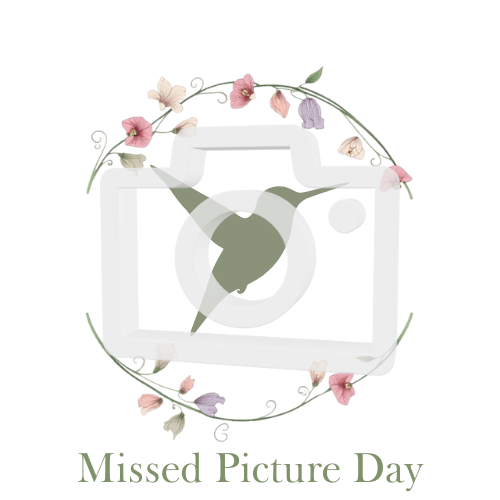 Decorative frame with flowers and a bird illustration on a white background, featuring 'Missed Picture Day' text.