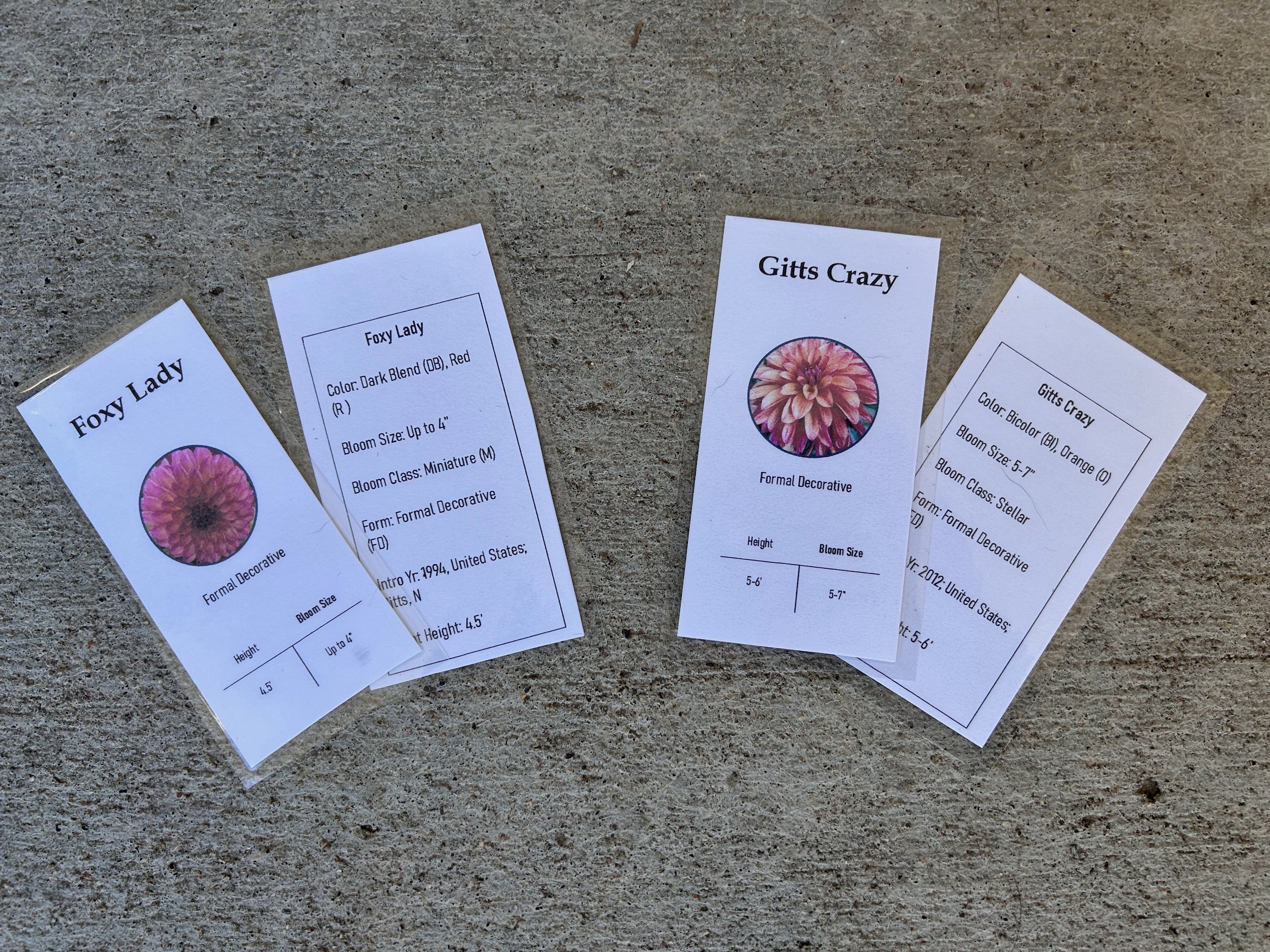 Front and back sample images of dahlia planning cards