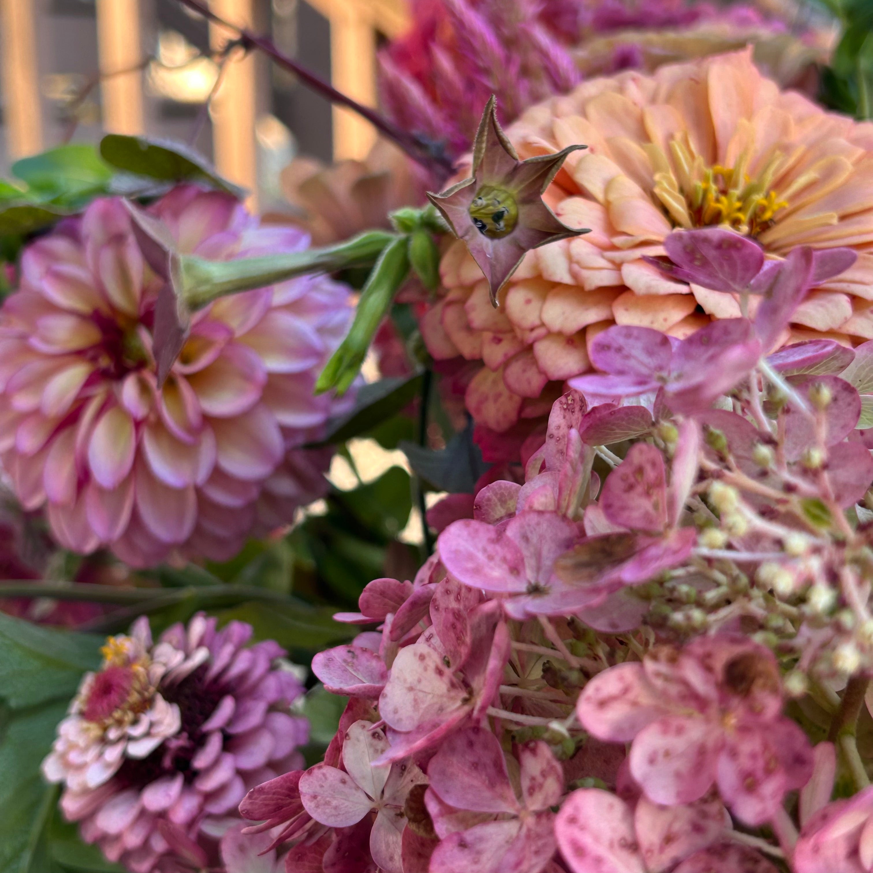 Close-up of a bouquet of pink and purple flowers with green leaves.