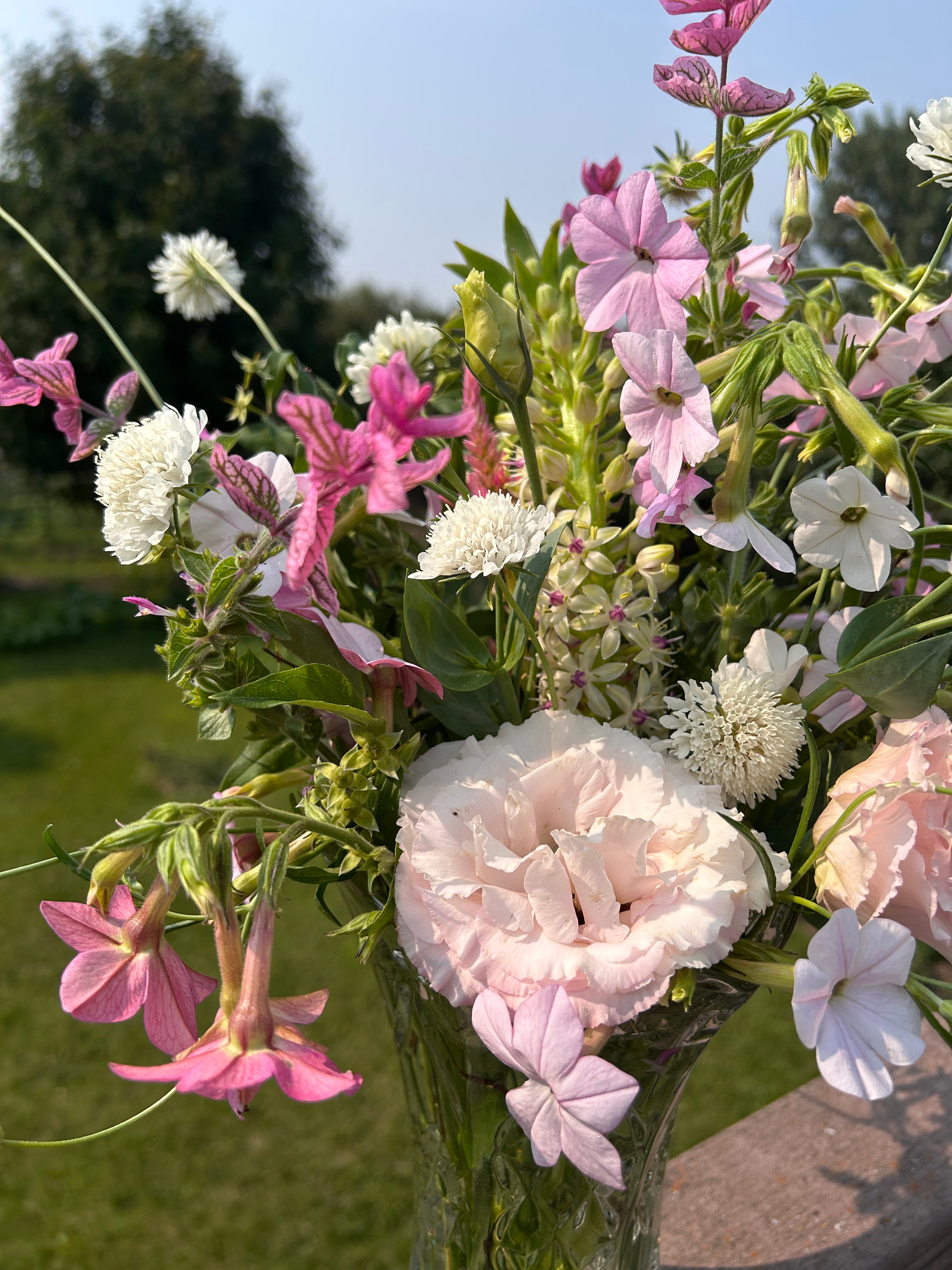 Bouquet of pink, white, and green flowers with a blurred background
